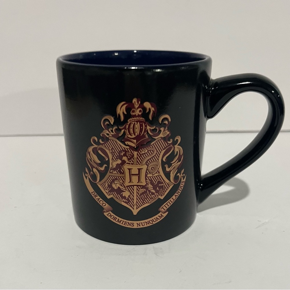 Harry Potter Wizarding World Draco Dormiens Nunquam Titillandus Collectible Mug